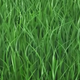 Illustration for article titled 10 Clumps Of Grass In Video Games